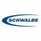 Schwalbe