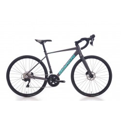 Bianchi Nirone 7 Disc 105 12s Yol Bisikleti