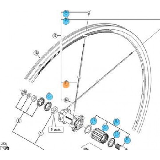 Shimano WH-RS10 Arka Jant Teli 304mm Siyah Shimano WH-RS10 Arka Jant Teli 304mm Siyah